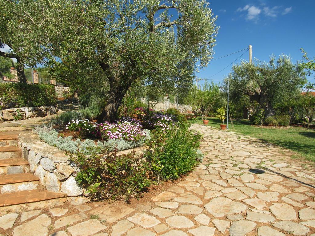 Gasthaus Relais Pian delle Starze Marina di Camerota Exterior foto