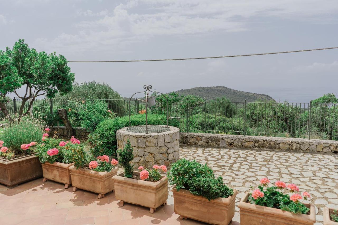 Gasthaus Relais Pian delle Starze Marina di Camerota Exterior foto